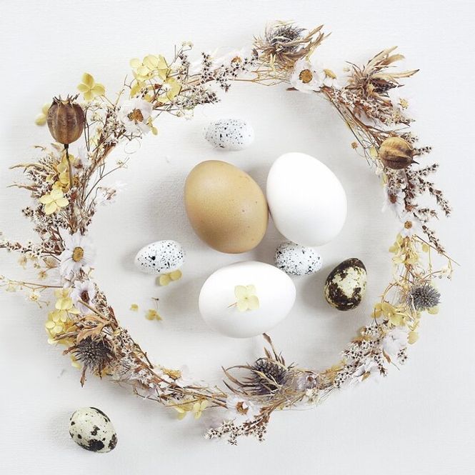Hovedbilde Lunsj servietter Eggs