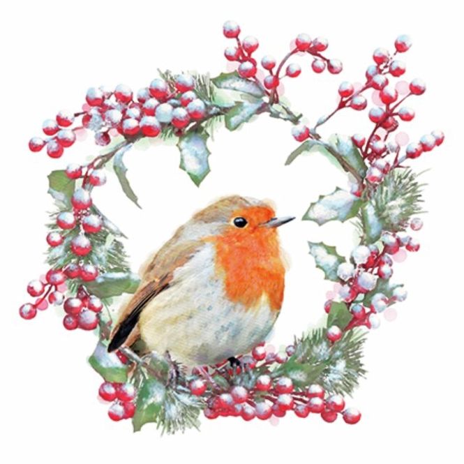 Hovedbilde Servietter Kaffe Robin In Wreath