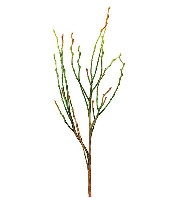 Hovedbilde Kvist 35 cm