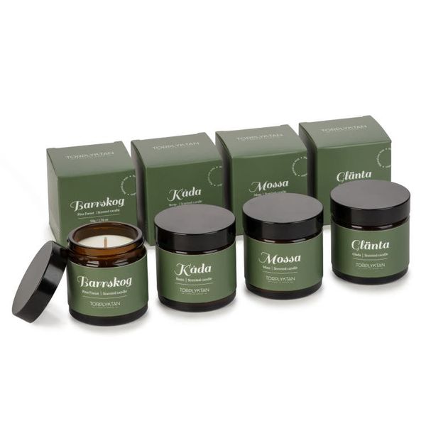 Hovedbilde Northern Woods 4-pakk 50 g