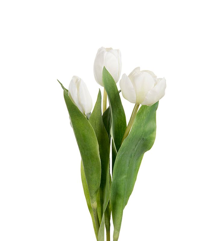 Tulipan 36 cm